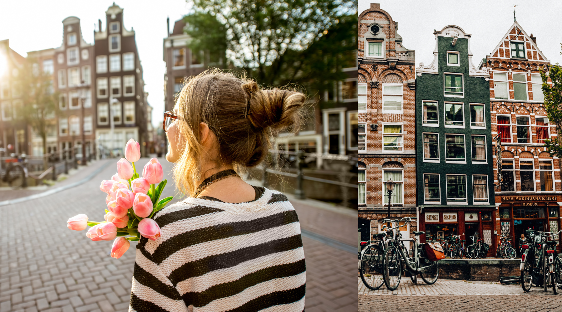 DTA Goes Amsterdam
